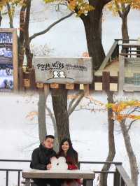 Essential Travel Checklist for an Autumn Adventure to Nami Island