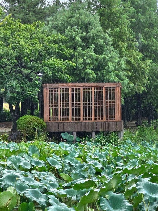 전주 덕진공원 데이트