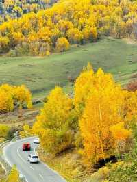 Autumn Journey to Hemu: Encountering First Snow on Yunxiao Peak