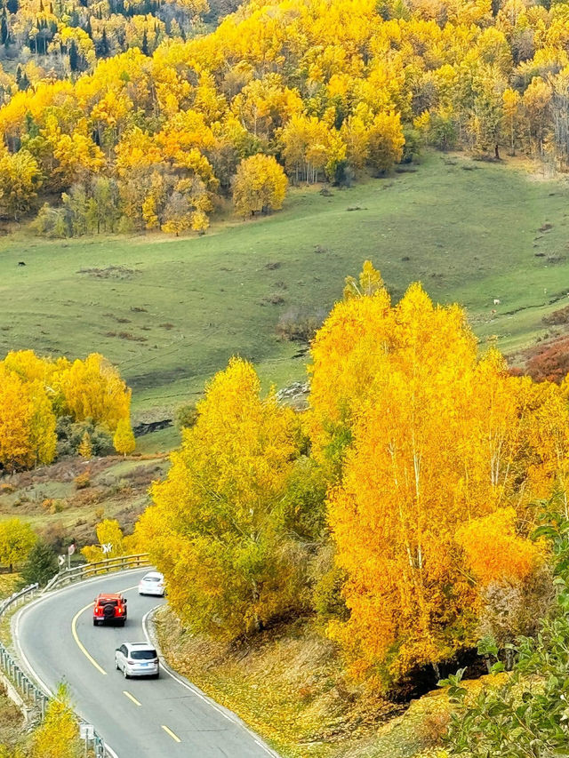 Autumn Journey to Hemu: Encountering First Snow on Yunxiao Peak