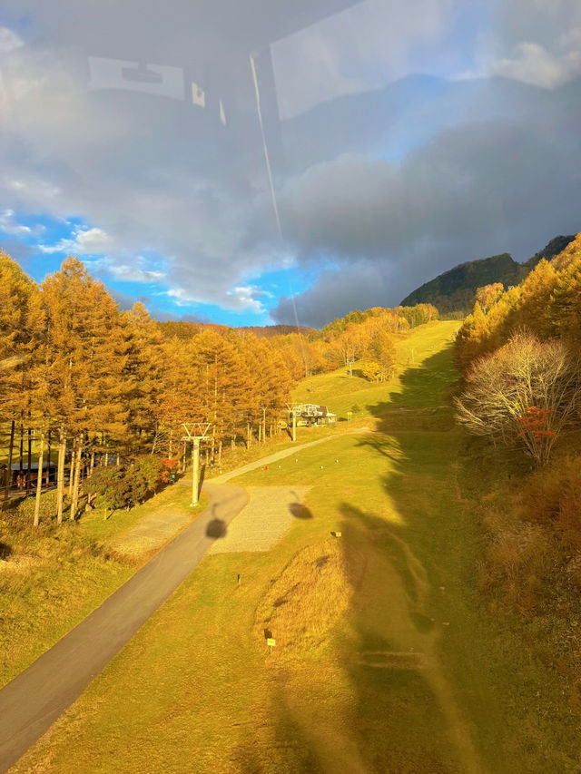 【群馬】超穴場紅葉スポット!!奇跡の絶景を楽しもう🧡