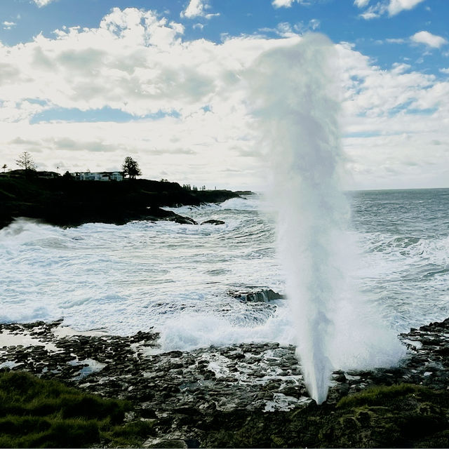 Little Blowhole