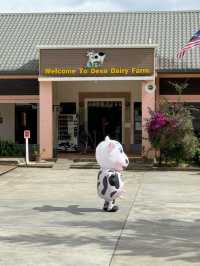 Desa Dairy Farm, Kundasang