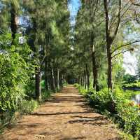 คาเฟ่ร่มรื่น กลางทุ่งนา ราชบุรี Pet Friendly 