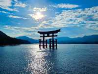 【広島】宮島の嚴島神社の大鳥居⛩️