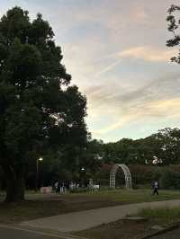 도쿄 요요기 공원에서 산책하기🌳💚