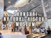 เดินเล่นพิพิธภัณฑ์ประวัติศาสตร์ธรรมชาติเซี่ยงไฮ้🦕