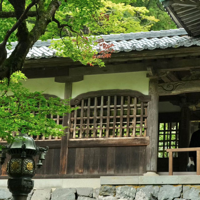 法雲禪寺：日式靜謐 🍃🧘‍♂️