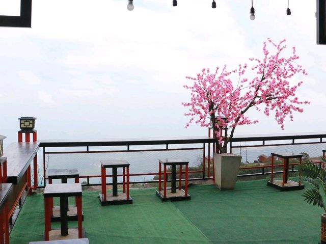 สัมผัสไอหนาวที่แคมป์วิวหมอก