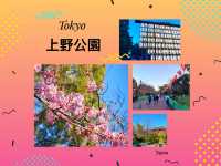 東京景點｜上野公園：櫻花之約