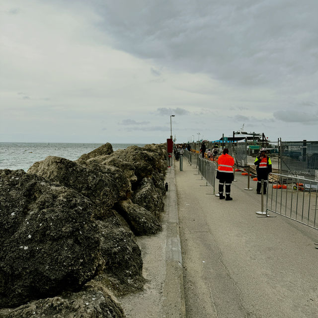 Hillarys Ferry Dock：前往羅特尼斯島的起點 🛳️🐳