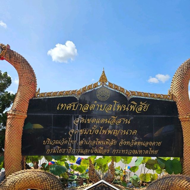 เที่ยวหนองคาย ชมบั้งไฟพญานาคหนึ่งเดียวในโลก
