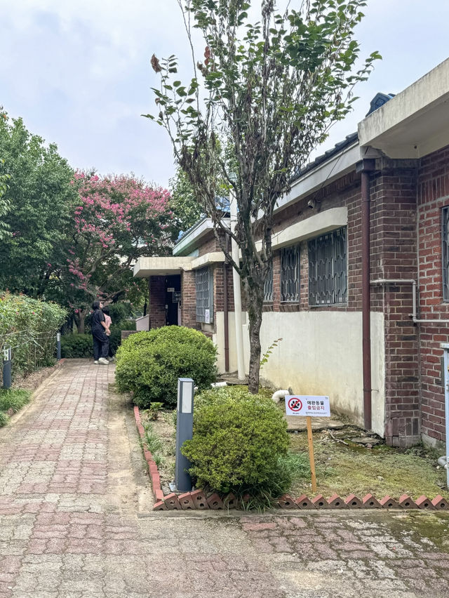 대전 관광지로 떠오르는 ‘테미오래’