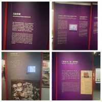 南海1號與海上絲綢之旅展覽參觀的個人感受