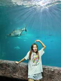 เที่ยวพิพิธภัณฑ์สัตว์น้ำ หนองคาย