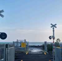 紐西蘭北島3天 從陶波到小富士