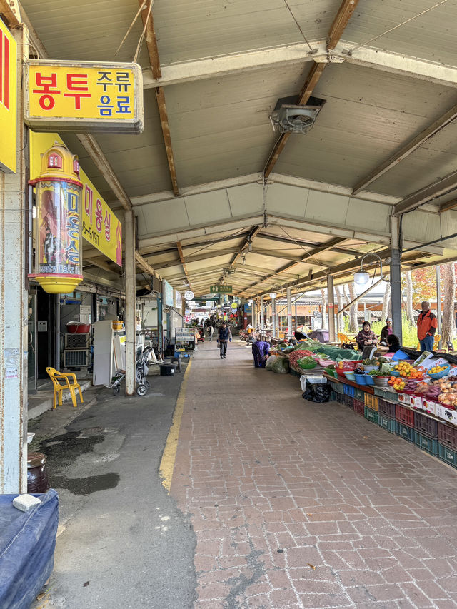 공주가면 꼭 가야할 ‘공주산성시장’