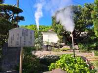 【鬼山地獄:大分県別府市】たくさんのワニがいる地獄!!