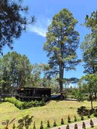 Glamping with Fantastic view of Toba Lake 