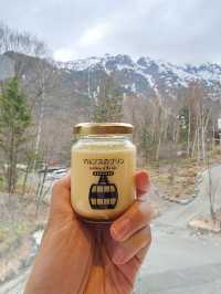 แจกแพลนเที่ยว Nagoya Japan (Alpine-Takayama)