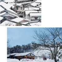 京都天橋立雪景-美麗如畫，傘松公園觀賞雪中的飛龍