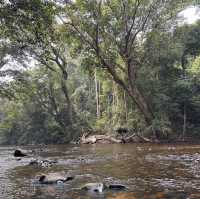 My Taman Negara Adventure!