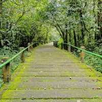 Mount Gede Pangrango National Park
