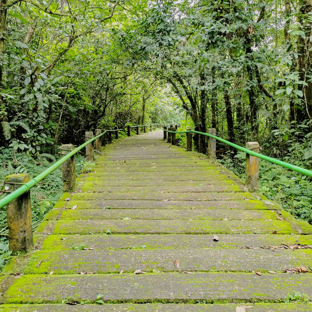 Mount Gede Pangrango National Park