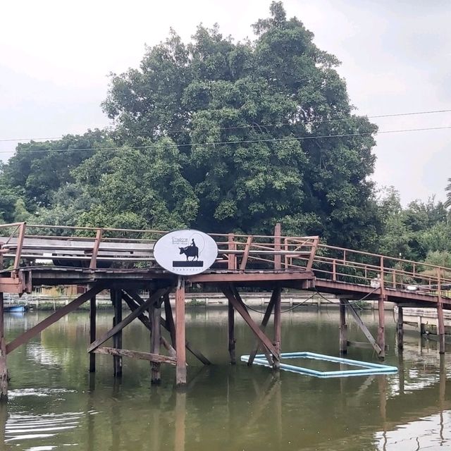 Thai Buffalo Village สุพรรณบุรี