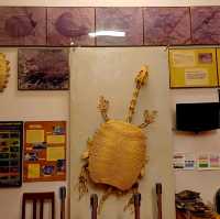泰國曼谷朱拉隆功大学自然历史博物館，親子博物館遊覽好去處