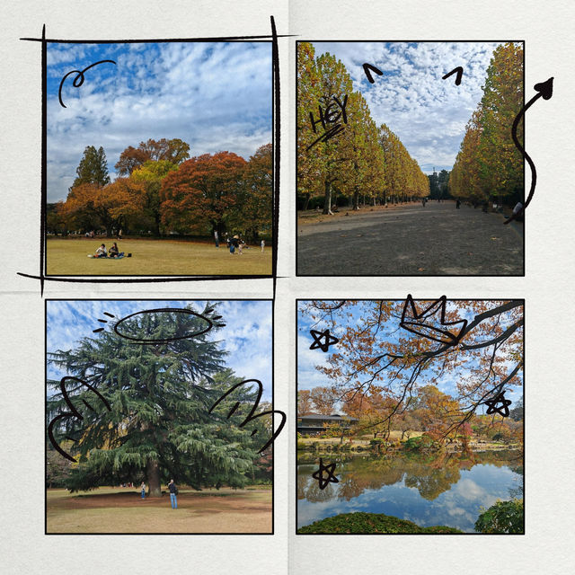 舍人公園：秋色如畫🍂🌳