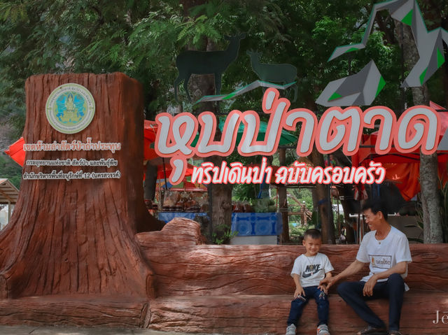 ทริปเดินป่าฉบับครอบครัว ที่ ”หุบป่าตาด“ 🗺️