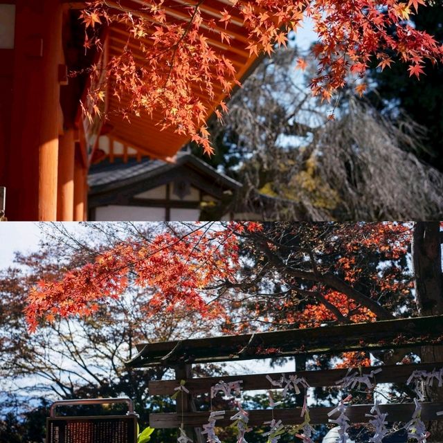 東京人氣景點
