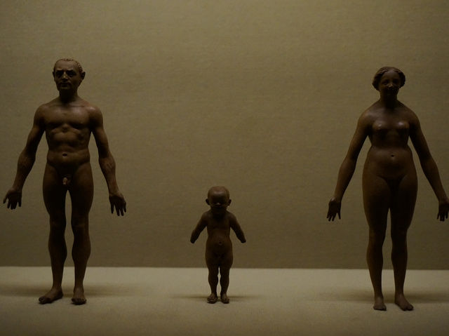 【イタリア・ミラノ】映画監督ウェス・アンダーソン監修の特別展　プラダ財団美術館