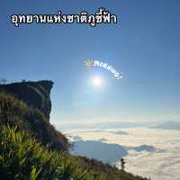 มาแอ่วเหนือที่ ภูชี้ฟ้า ⛅️⛰️ จังหวัดเชียงรายกันจ้า