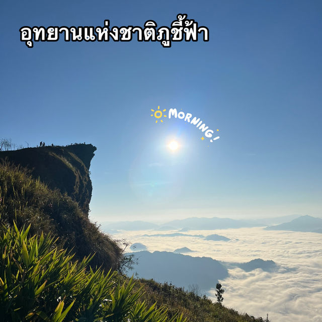 มาแอ่วเหนือที่ ภูชี้ฟ้า ⛅️⛰️ จังหวัดเชียงรายกันจ้า