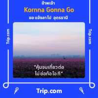 UDARA CAFE : คาเฟ่ในสวน @ อุดรธานี