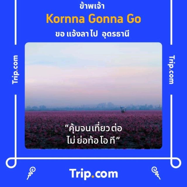 UDARA CAFE : คาเฟ่ในสวน @ อุดรธานี