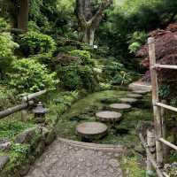 สวนที่สวยอันดับ 2 ในออสเตรเลีย Forest Glade Garden