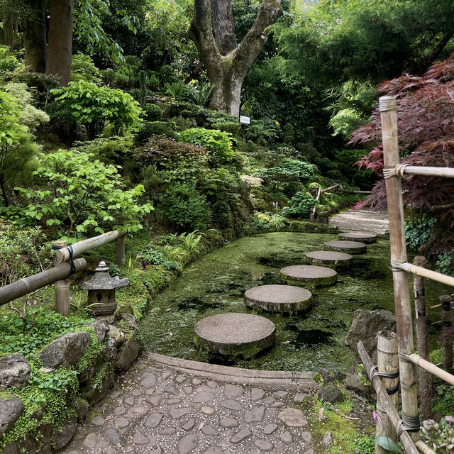 สวนที่สวยอันดับ 2 ในออสเตรเลีย Forest Glade Garden