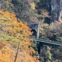 日本東北賞楓：鳴子峽與大深澤橋