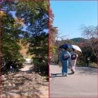 วัดคัตสึโอจิ Katsuoji Temple 勝尾寺
