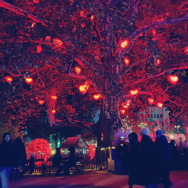 ウィーンからブダペストへ🎄クリスマスマーケット巡り🪅