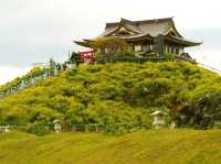 【青森県】ウミネコの繁殖地！蕪嶋神社