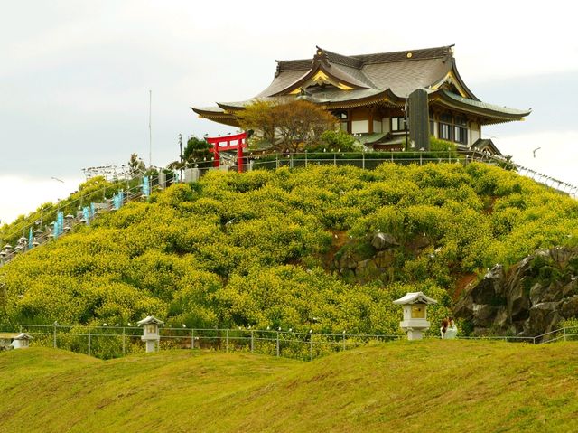 【青森県】ウミネコの繁殖地！蕪嶋神社