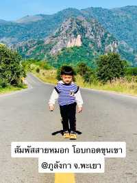 สัมผัสสายหมอก โอบกอดขุนเขา ที่ภูลังกา 🏞️✨