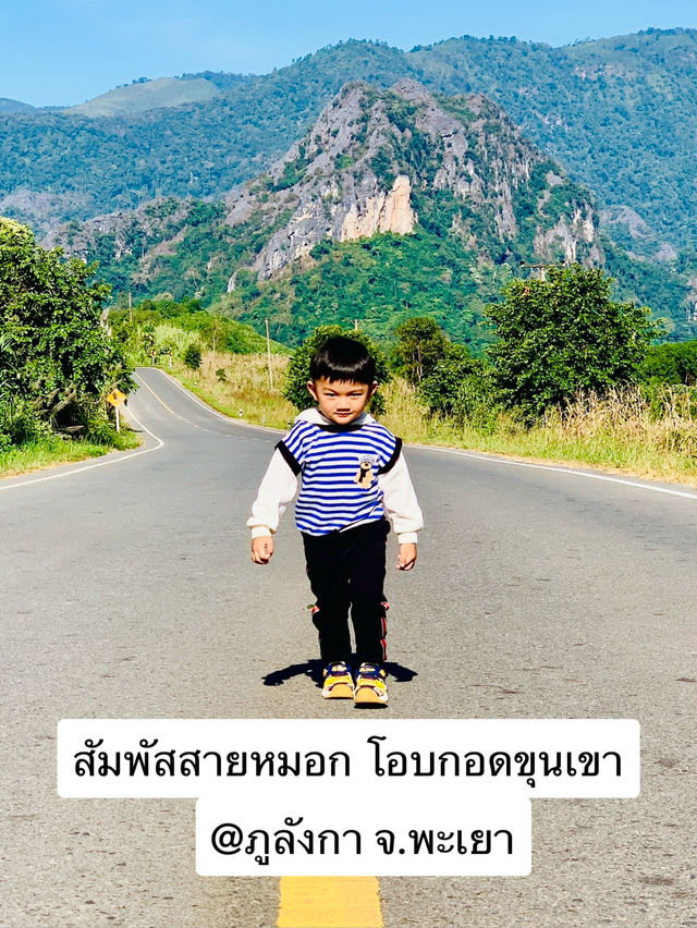 สัมผัสสายหมอก โอบกอดขุนเขา ที่ภูลังกา 🏞️✨