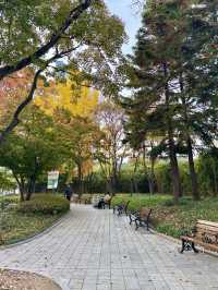 2021년 국가 유산보물로 선정된 대구 경상감영공원✨💛