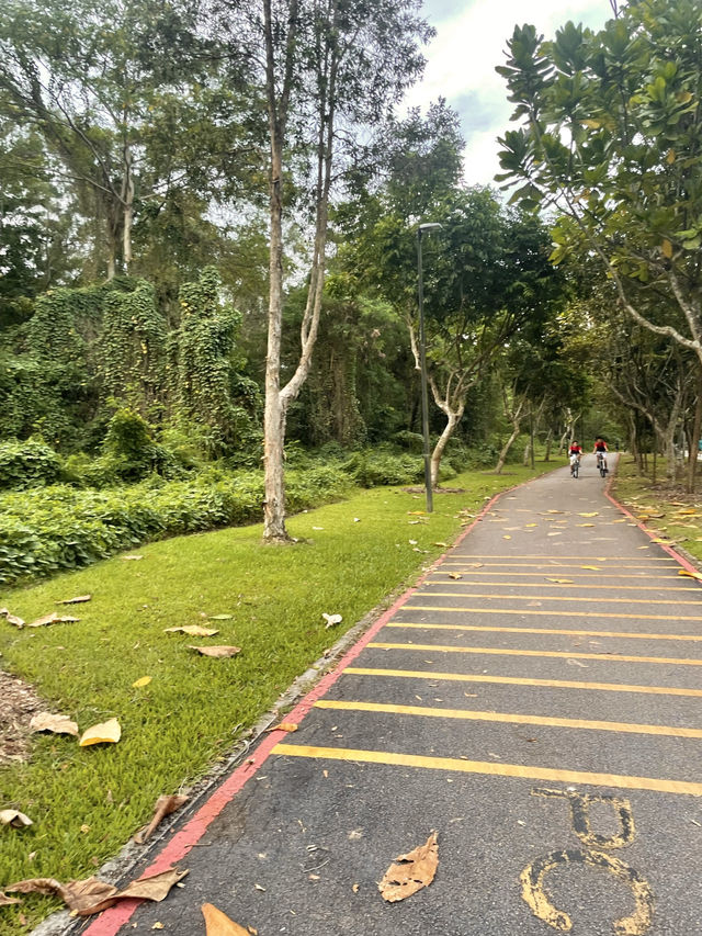 เช่าจักรยานปั่นดูวิวธรรมชาติ @Punggol Park 🌳