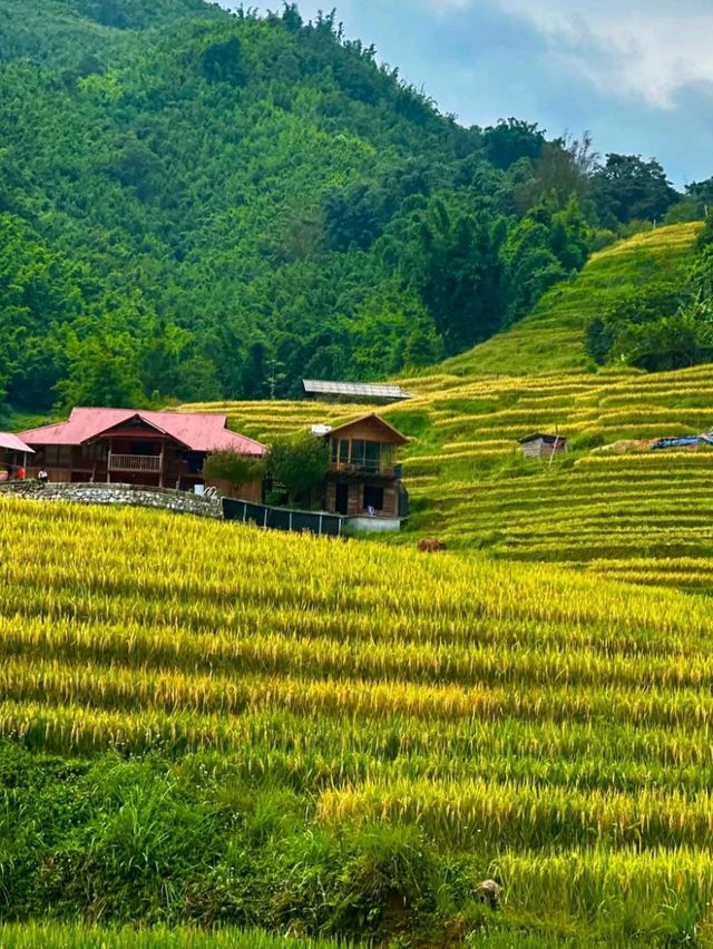✨ Hoi An: A Timeless Journey Awaits! 🌟